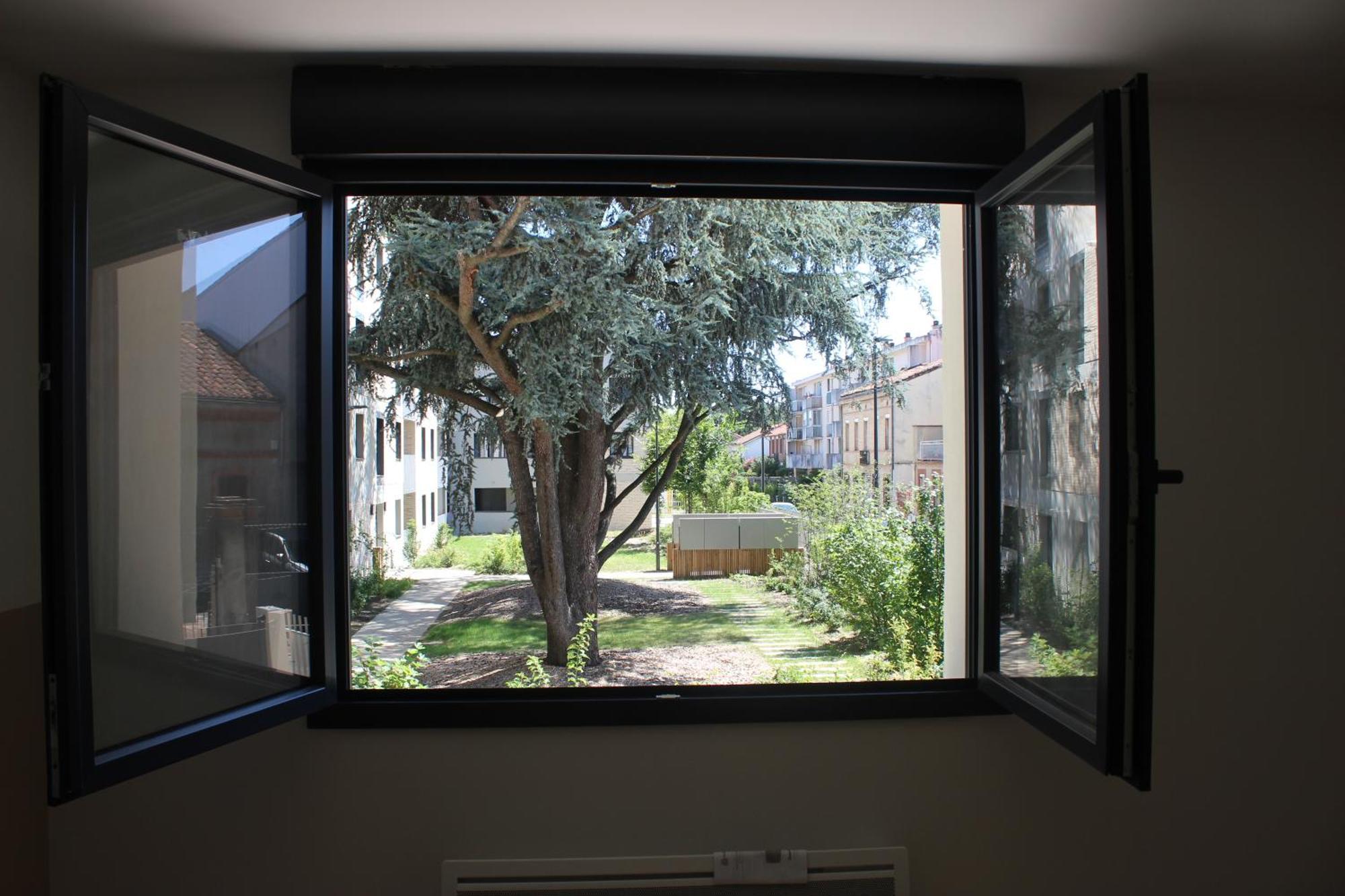 Elegante Maison De Ville Renovee Toulouse Ngoại thất bức ảnh